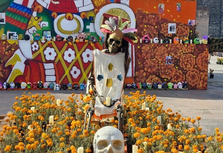 Calles y celebraciones de la Ciudad de Mexico