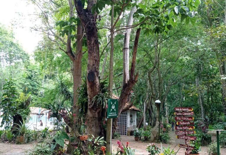 Vegetacion y senderos del parque El Gallineral en San Gil